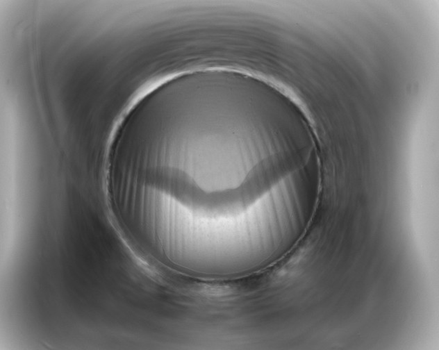 X0000086941525200704301127