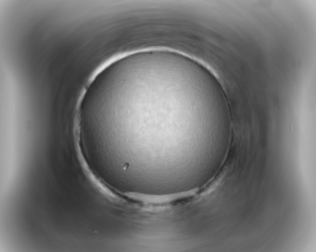 X0000086941526200704301127