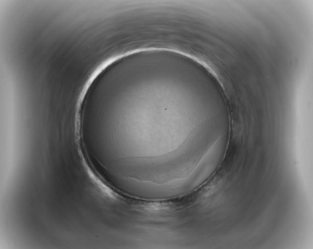 X0000086941527200704301127
