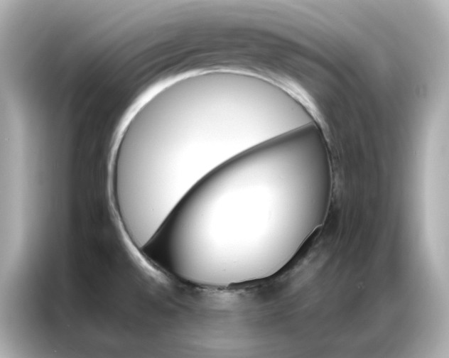 X0000086941528200704301127
