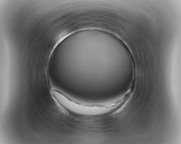X0000086941529200704301127