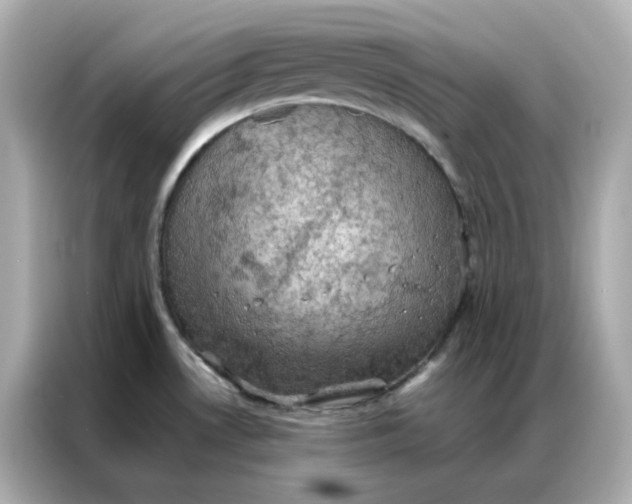 X0000086941530200704301127