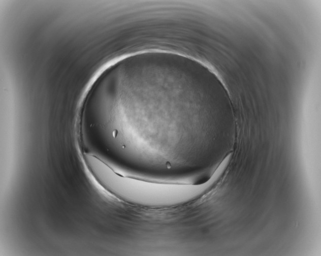 X0000086941531200704301127