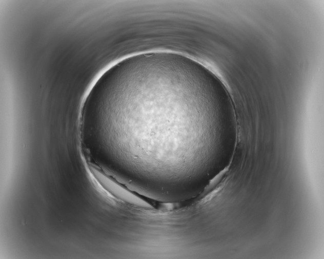 X0000086941532200704301127