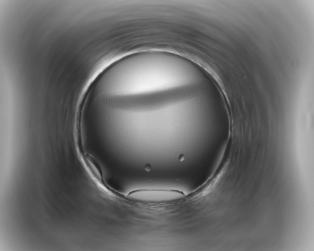 X0000086941533200704301127