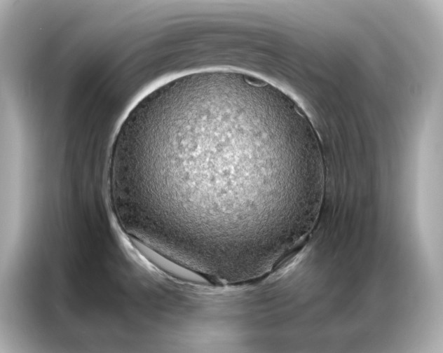 X0000086941534200704301127