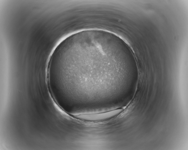 X0000086941535200704301127