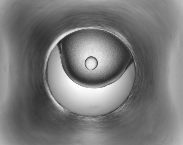 X0000086941536200704301127