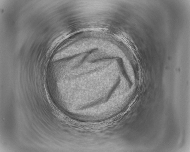 X0000086940001200705071430