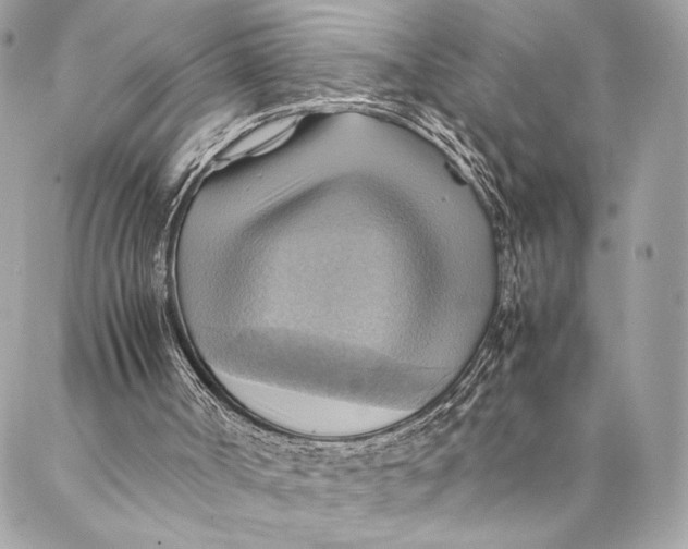 X0000086940002200705071430