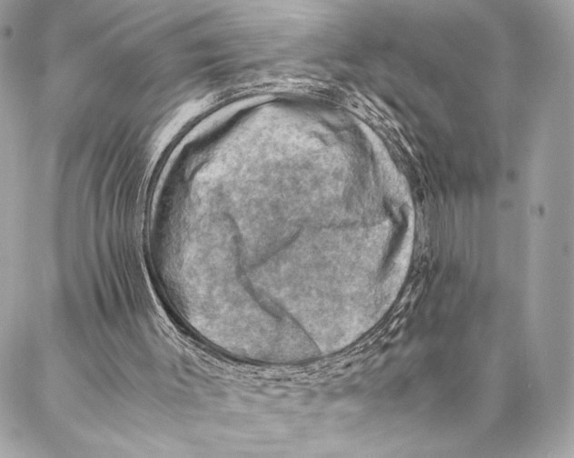 X0000086940003200705071430