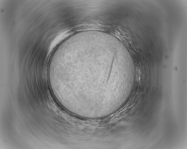 X0000086940004200705071430