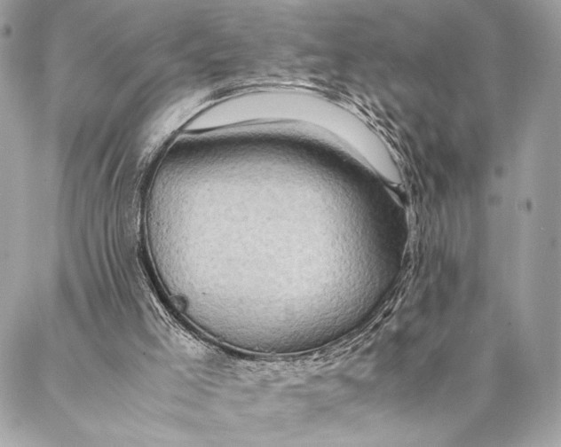 X0000086940005200705071430