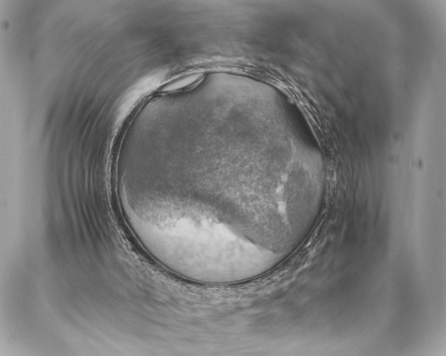 X0000086940006200705071430