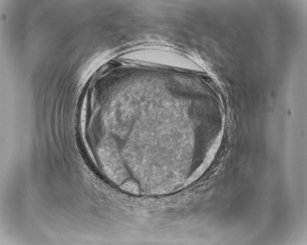 X0000086940007200705071429