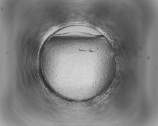 X0000086940008200705071429