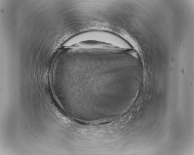 X0000086940009200705071429