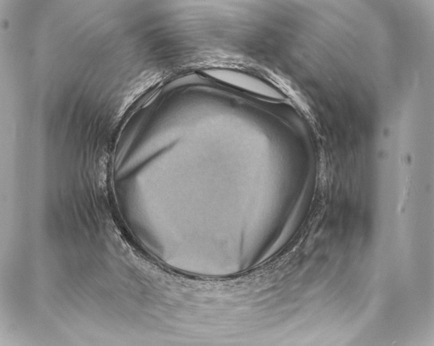 X0000086940010200705071429