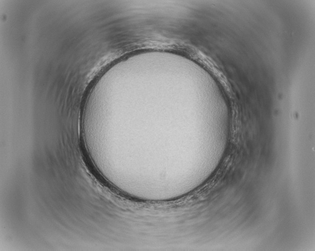 X0000086940011200705071429