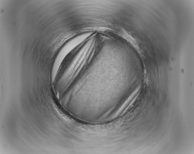 X0000086940013200705071429