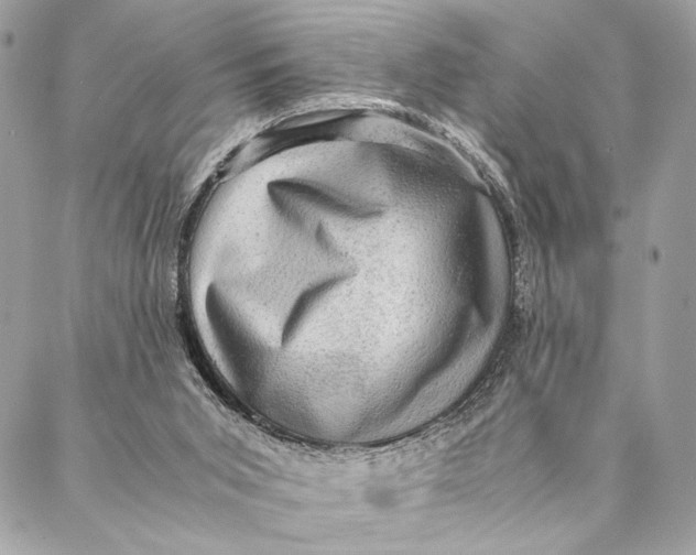 X0000086940015200705071429