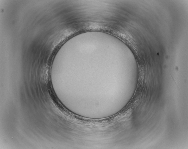 X0000086940016200705071429