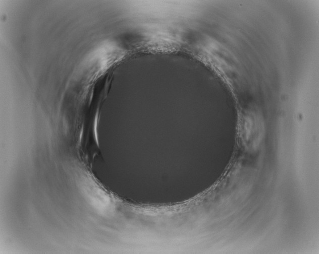 X0000086940017200705071429