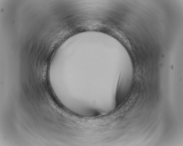 X0000086940018200705071429