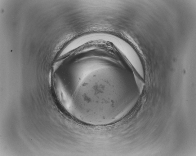 X0000086940019200705071429