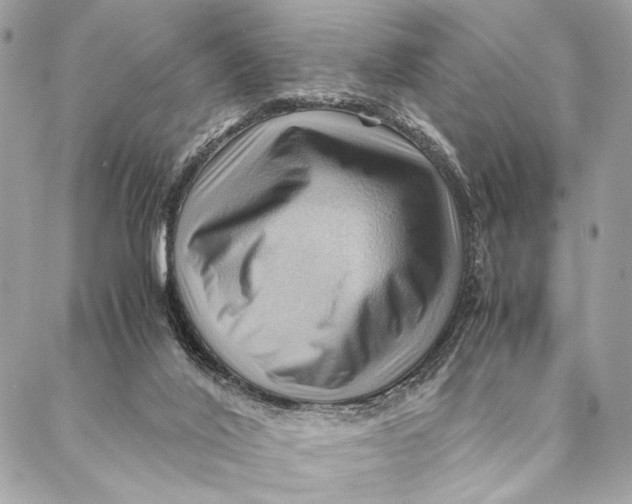 X0000086940020200705071429