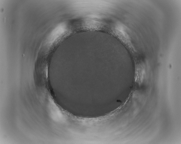 X0000086940021200705071429