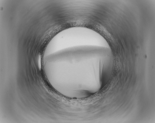 X0000086940022200705071429