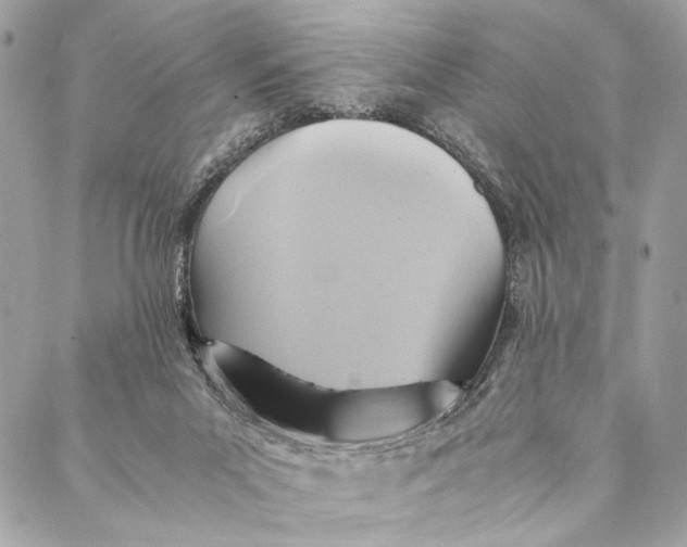 X0000086940023200705071429