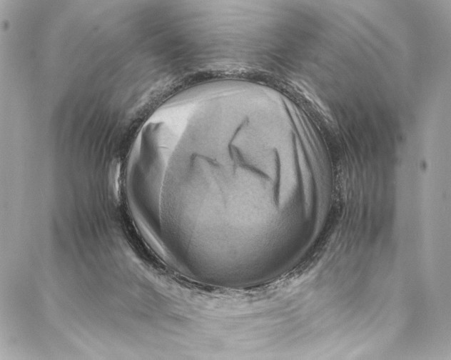 X0000086940024200705071429