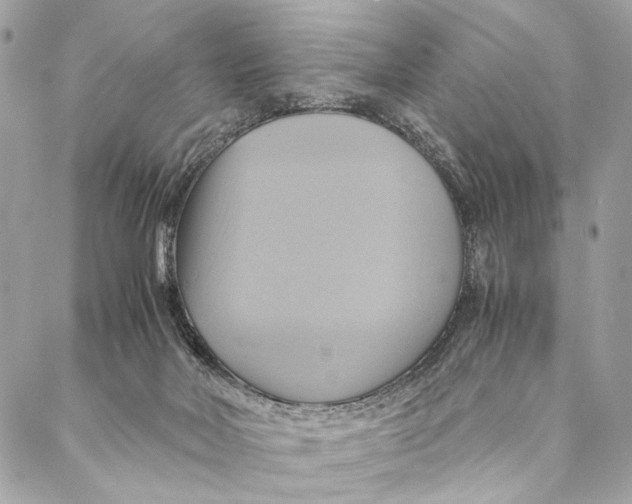 X0000086940026200705071429