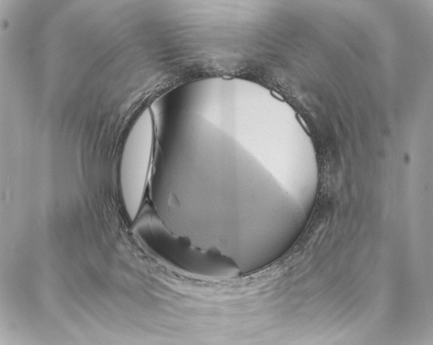 X0000086940027200705071429