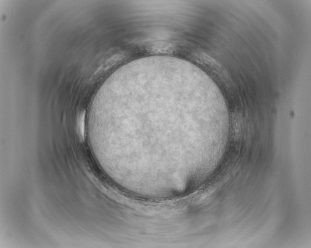 X0000086940028200705071429