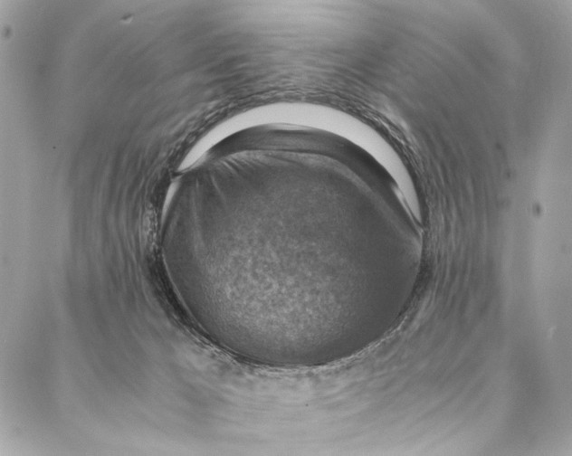 X0000086940029200705071429