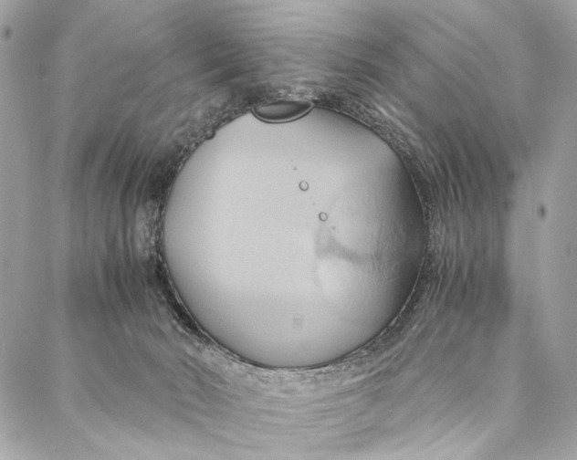 X0000086940030200705071429