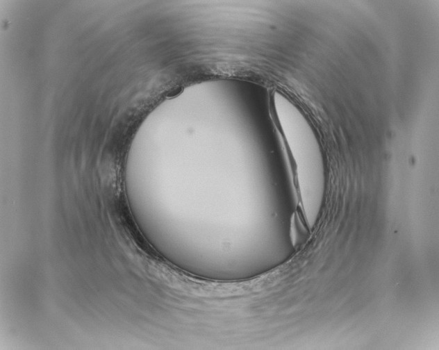 X0000086940031200705071429