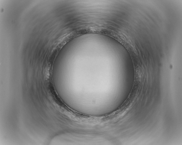 X0000086940032200705071429