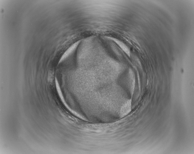 X0000086940033200705071429