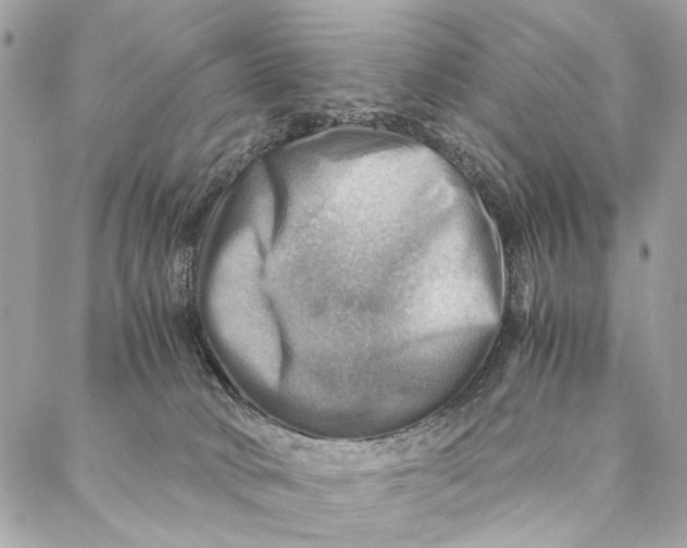 X0000086940034200705071429