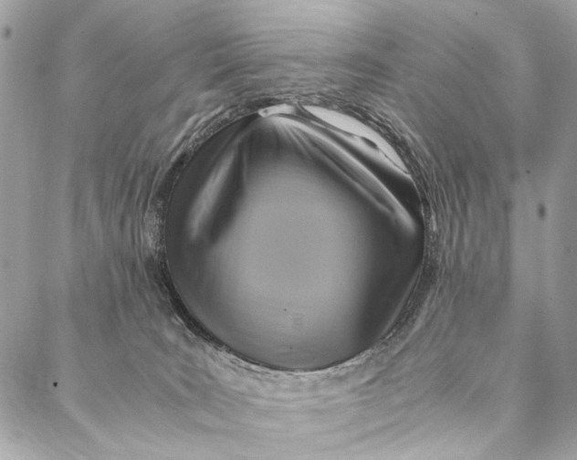 X0000086940035200705071429