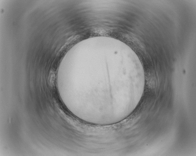 X0000086940036200705071429