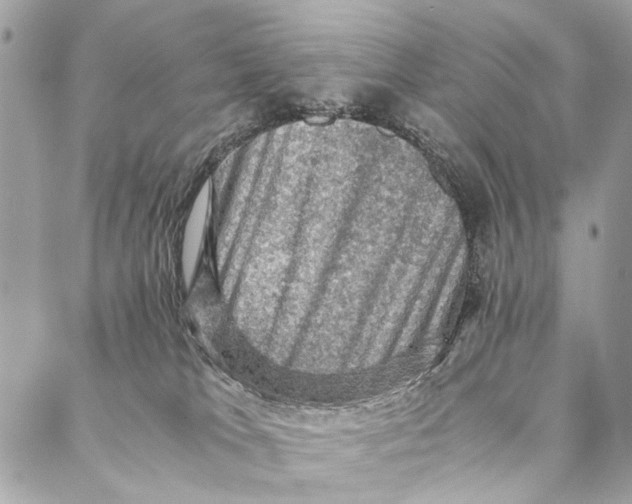 X0000086940037200705071429