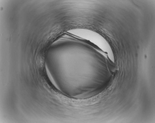 X0000086940039200705071429