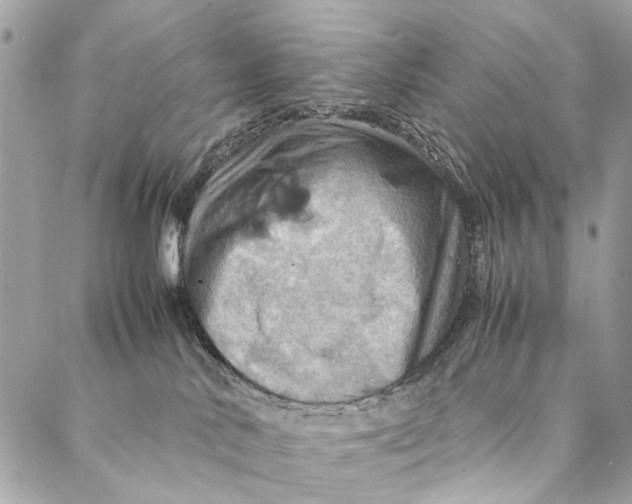 X0000086940042200705071429