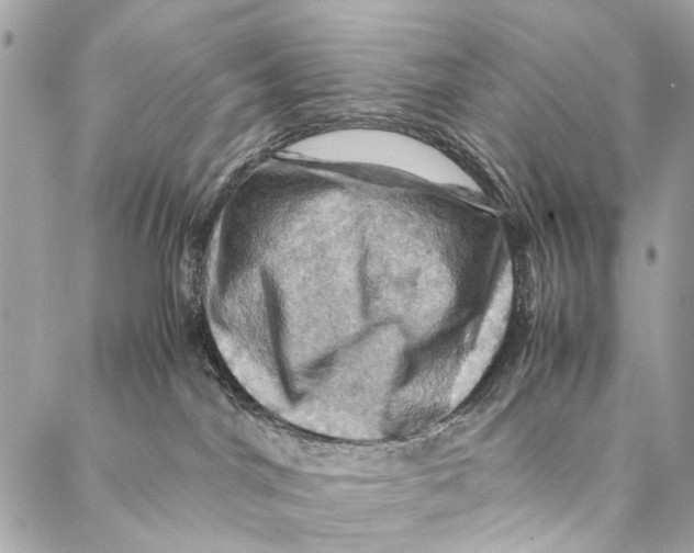 X0000086940044200705071429