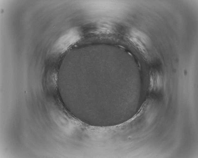 X0000086940045200705071429